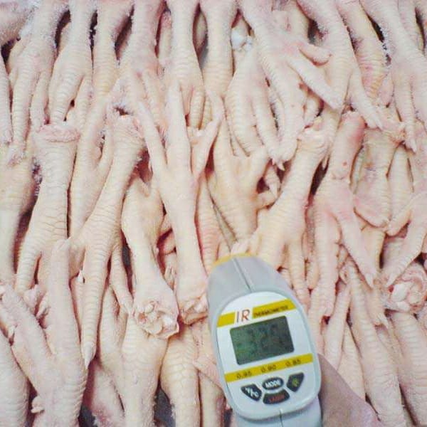 chicken2