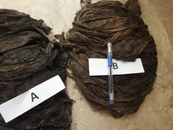 Dry Omasum1